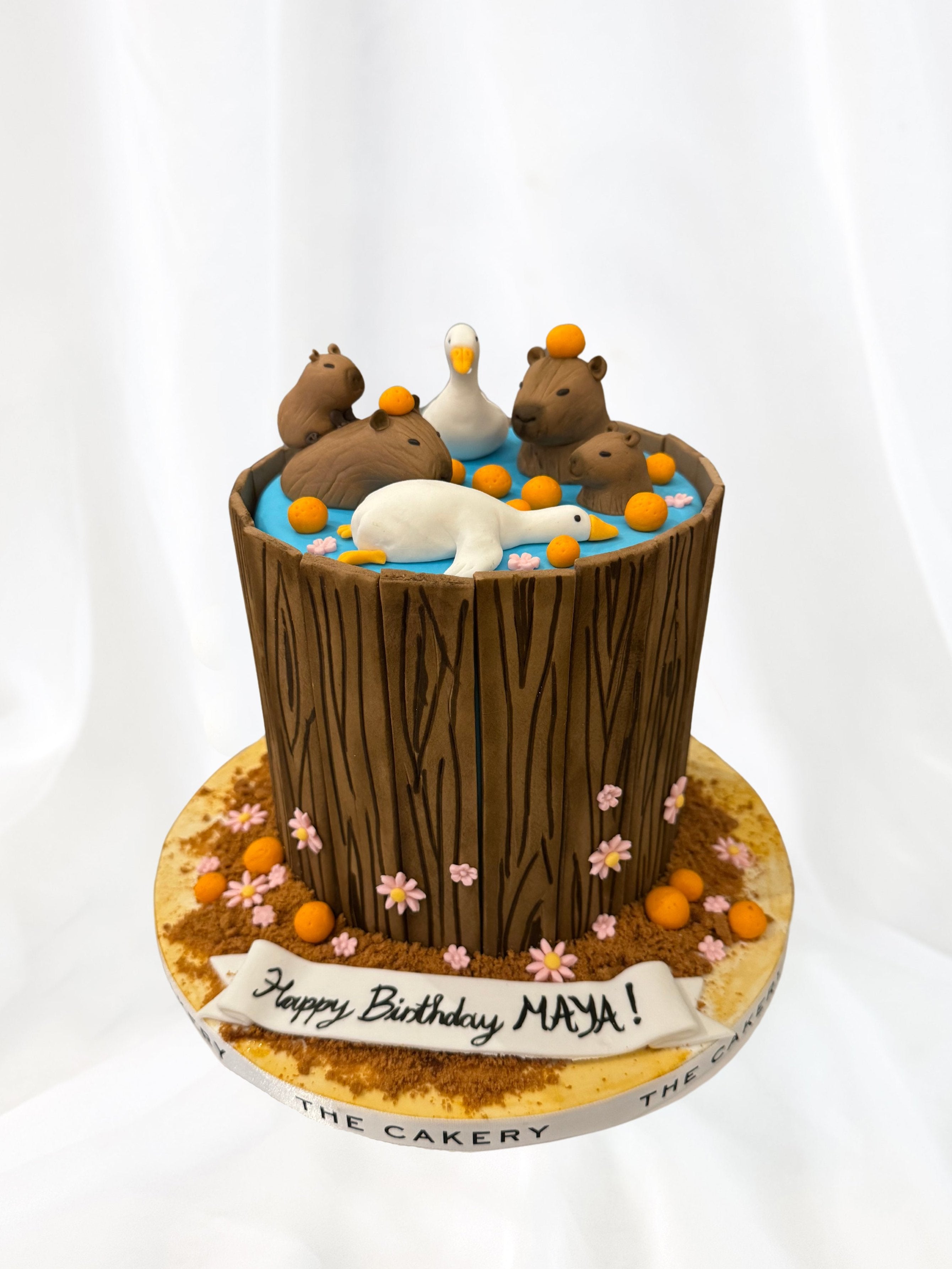 Capybara In Hot Spring – The Cakery Hong Kong