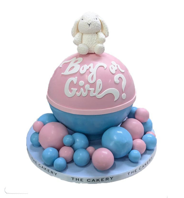 Gender Reveal Knock