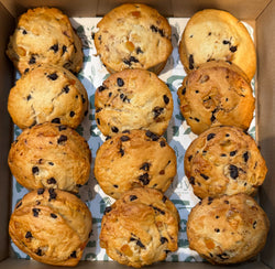 Vegan Chocolate Chip Orange Scone (12 pcs)