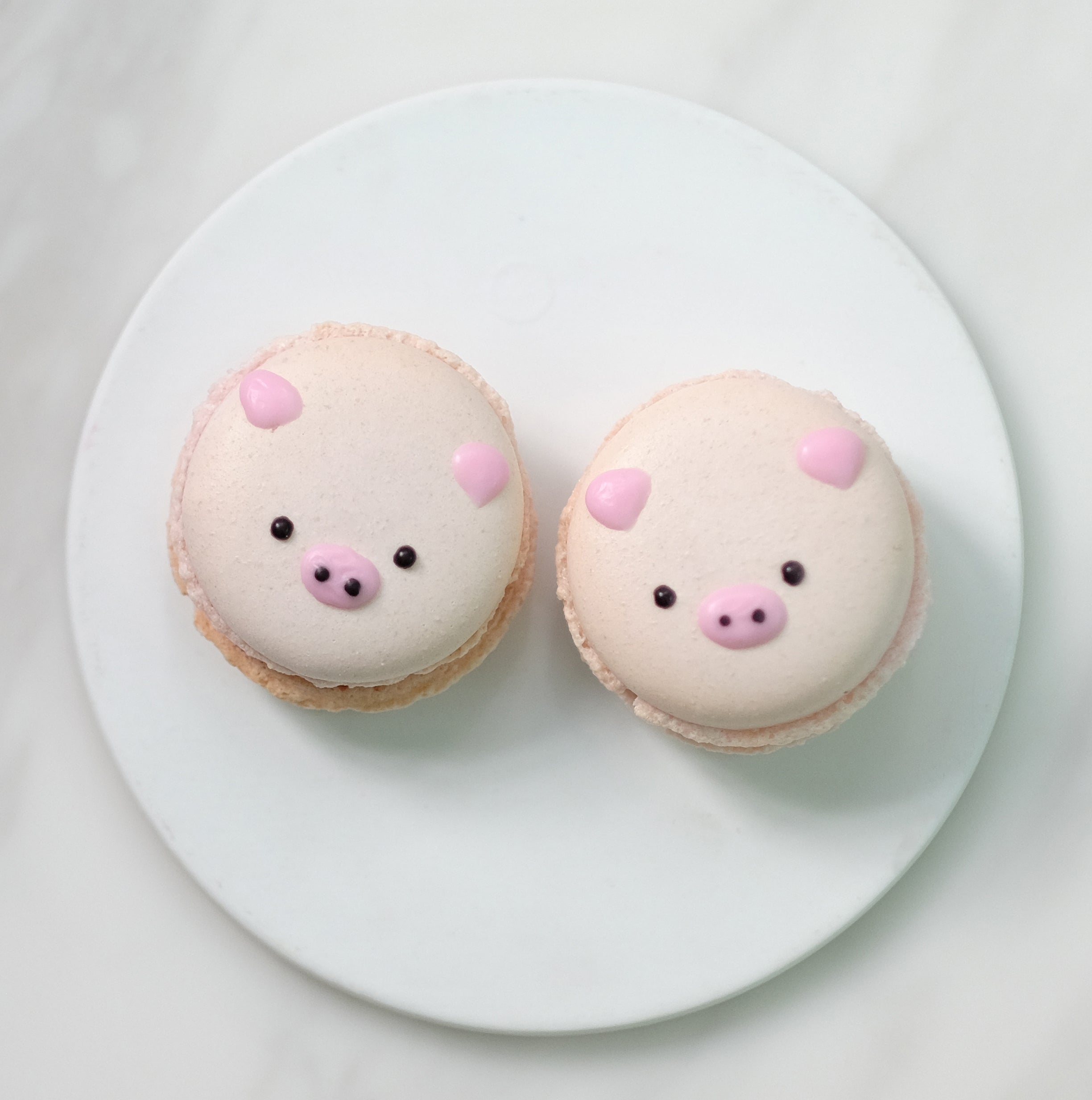 Piggy Macaron (12pcs) – The Cakery Hong Kong