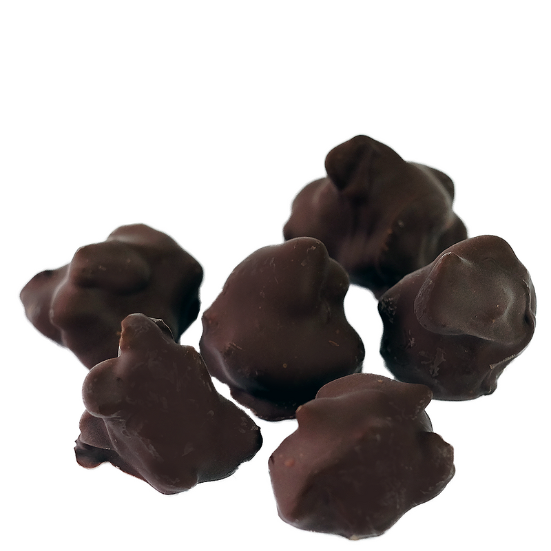 Peanut Chocolate Bites